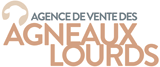 Agence de vente des agneaux lourds